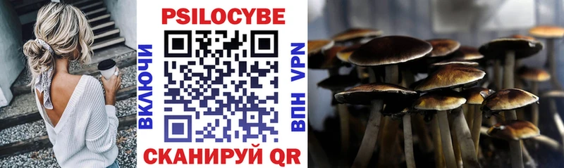 Галлюциногенные грибы Psilocybine cubensis  Нея 